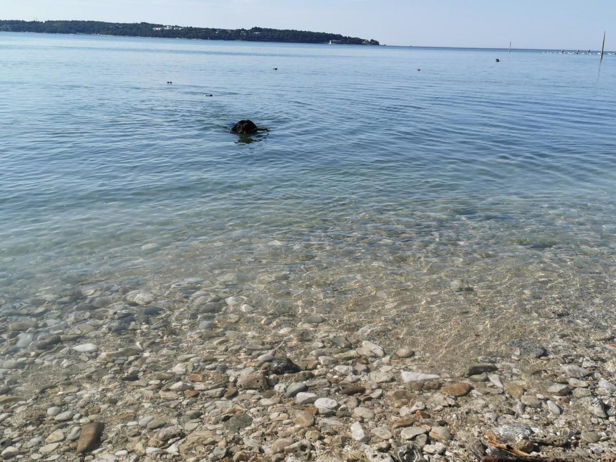 Novigrad Istria Lora Deluxe Superior 5 Star Apartment, Your Piece Of Heaven By The Sea & Park With Sea & Park View מראה חיצוני תמונה