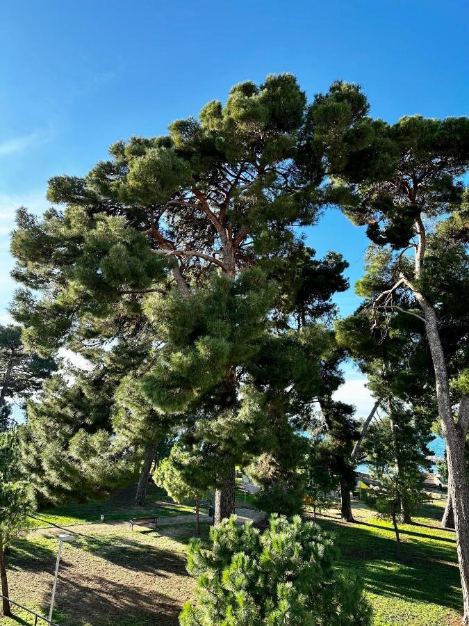 Novigrad Istria Lora Deluxe Superior 5 Star Apartment, Your Piece Of Heaven By The Sea & Park With Sea & Park View מראה חיצוני תמונה